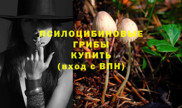 таблы Аркадак