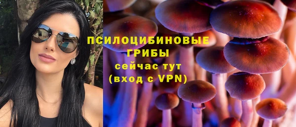 спиды Арсеньев